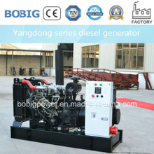 10kVA Diesel Generator Powered by Chinese Yangdong Engine